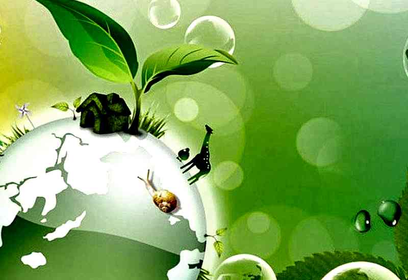 İpek Geri Dönüşüm Doğada Kaybolma Süreleri