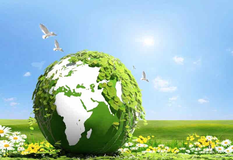 İpek Geri Dönüşüm Geri Dönüşüm Nedir